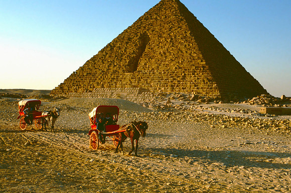 Horse carts in front of the Pyramids.
