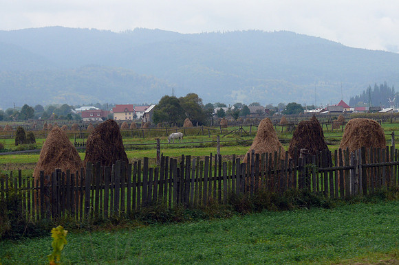Suceava, Romania